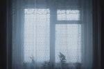 В Нижнем Новгороде обнаружены расчлененные трупы шестерых детей