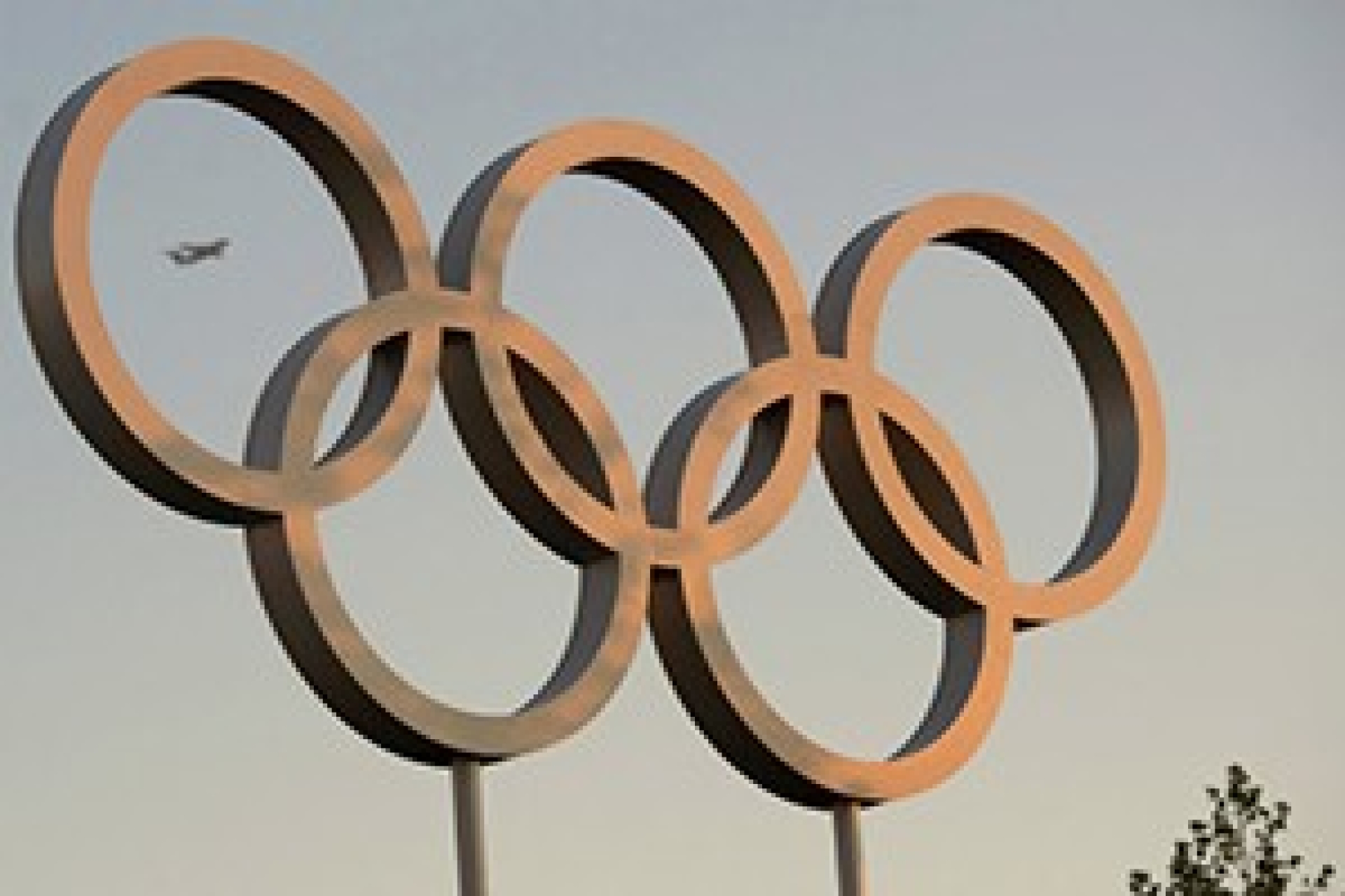 Совфед будет бойкотировать Олимпиаду?
