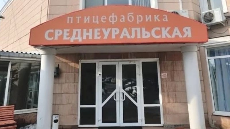 Куйвашева не "возьмут" за яйца?