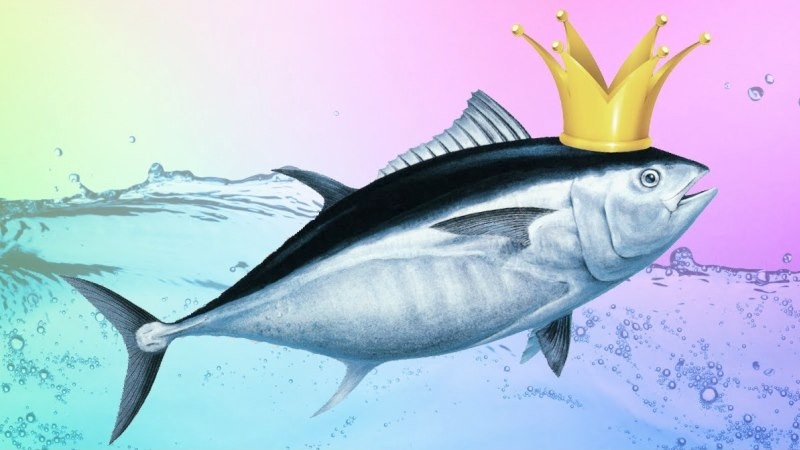 "Rotten business" of the fish "king" Orlov