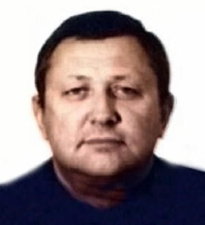 Скигин 