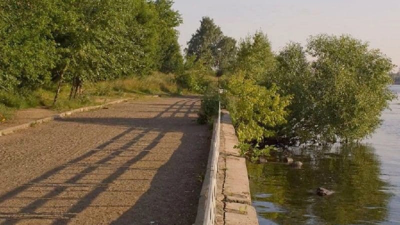 Воробьев "пошлет" химчан лесом?