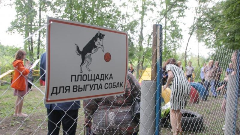 Площадку для выгула собак в Ясеневе оборудуют по современному стандарту