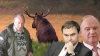 Пьяный лось Рашкину не товарищ