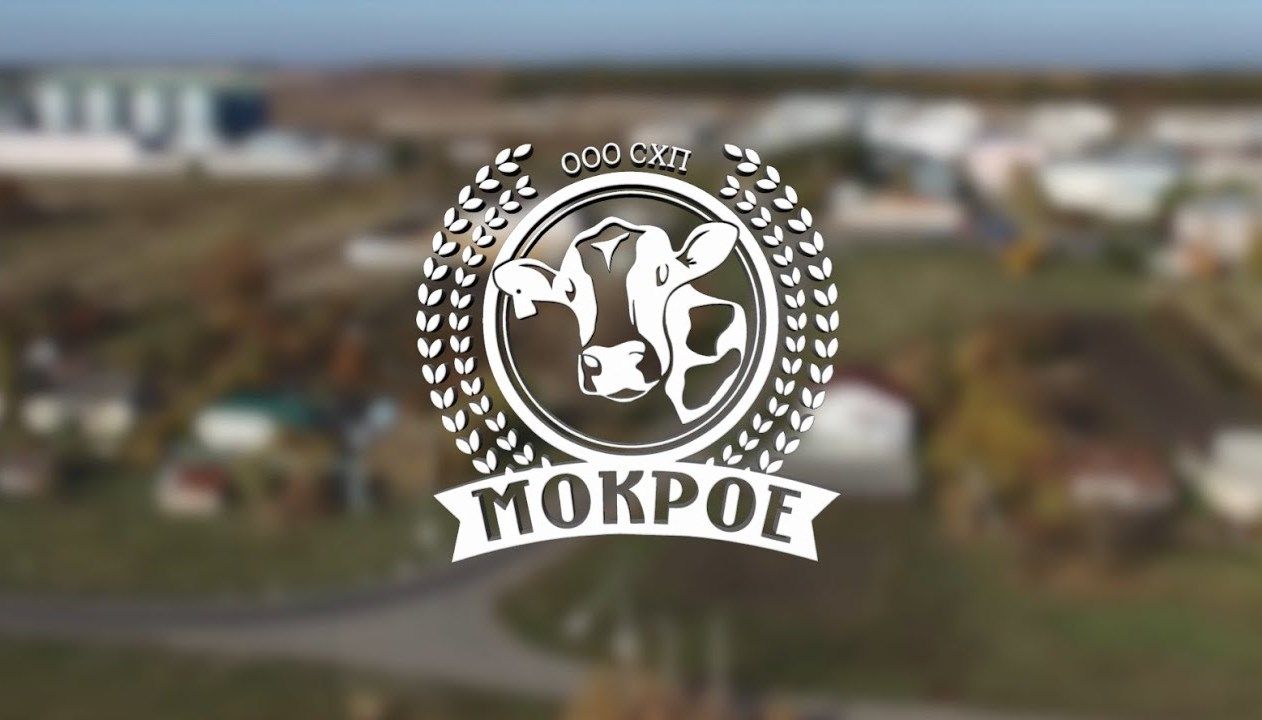 Леди Макбет 
