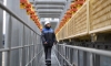 Россия и Турция достигли принципиального соглашения по газовому хабу