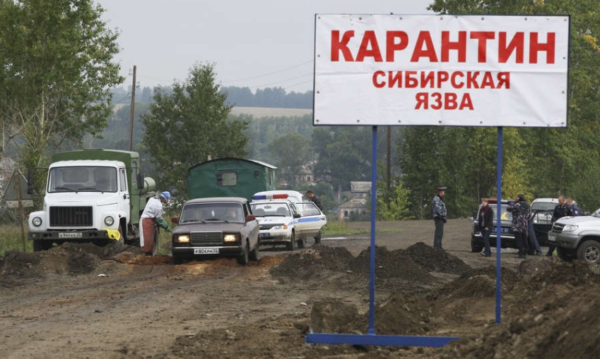 В Тыве четверо заболевших сибирской язвой отказались от лечения и покинули больницу