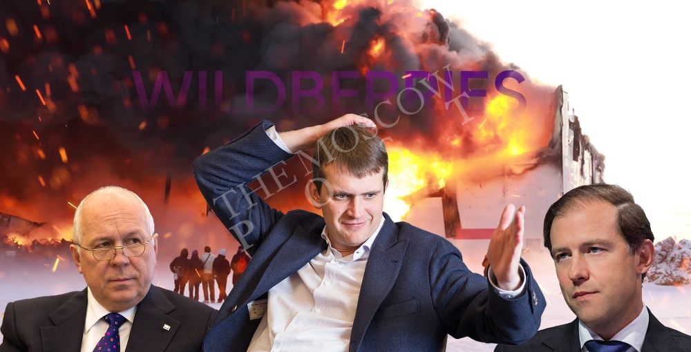 В Шушарах поспели "ягодки" - Иван Таврин получит Wildberries?