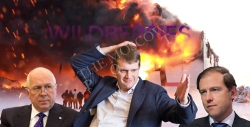 В Шушарах поспели "ягодки" - Иван Таврин получит Wildberries?