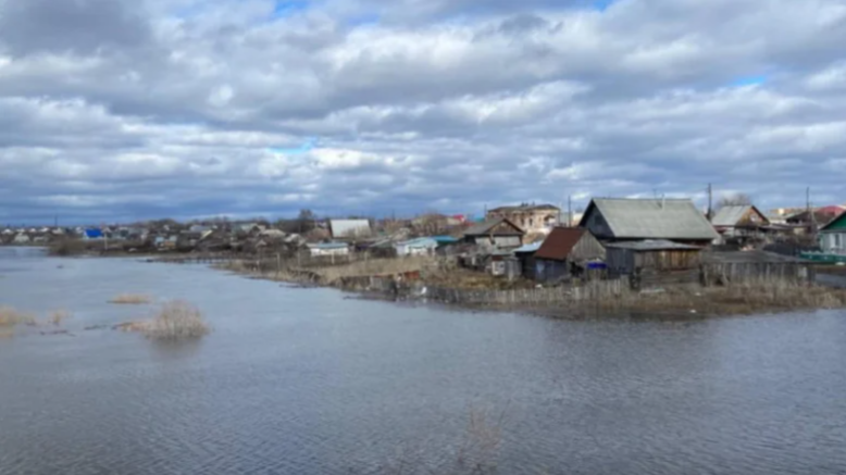 Много Шумкова из ничего: как глава региона вводил в заблуждение Президента