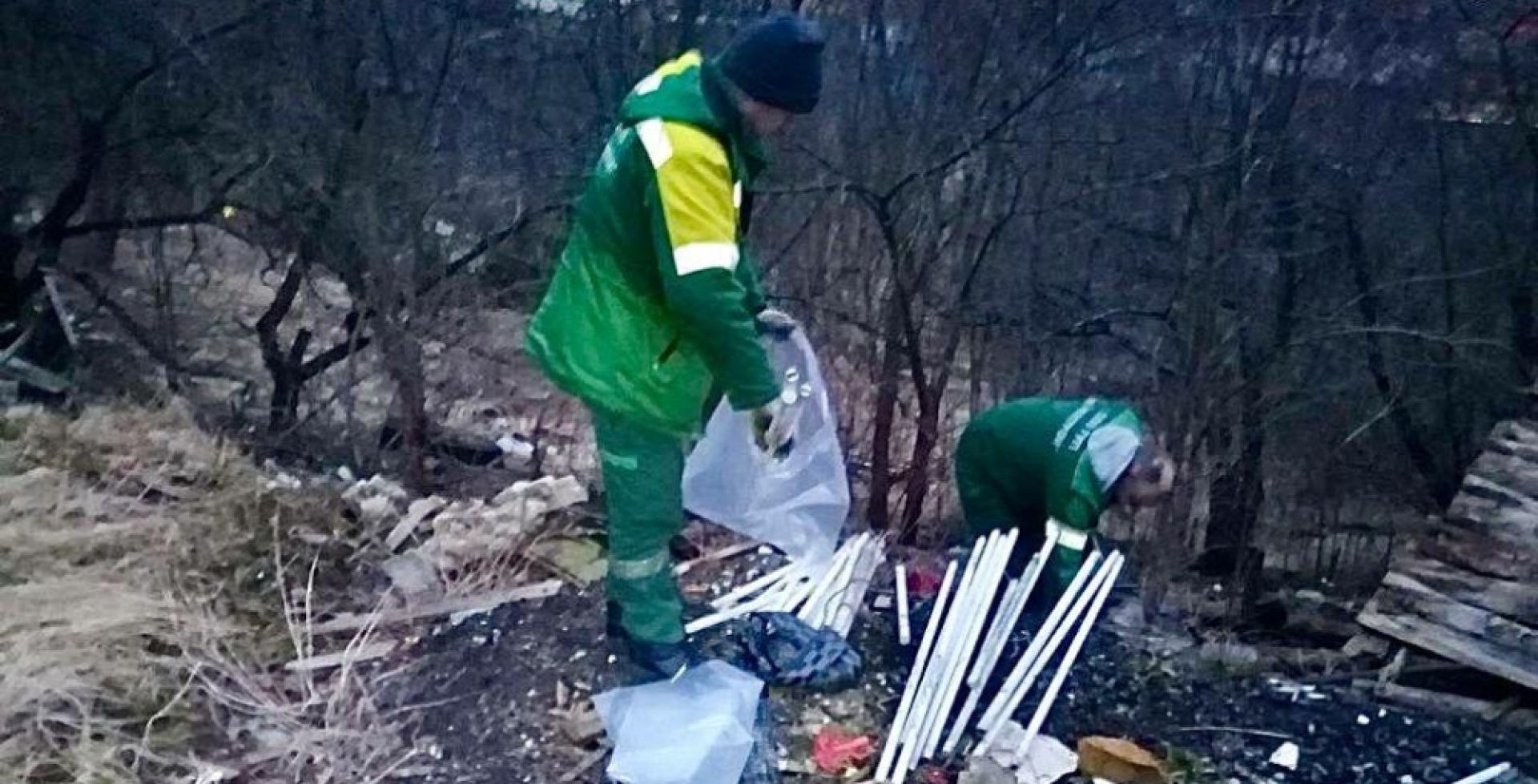Петербургские экологические службы собрали около 19 тонн опасных отходов за неделю