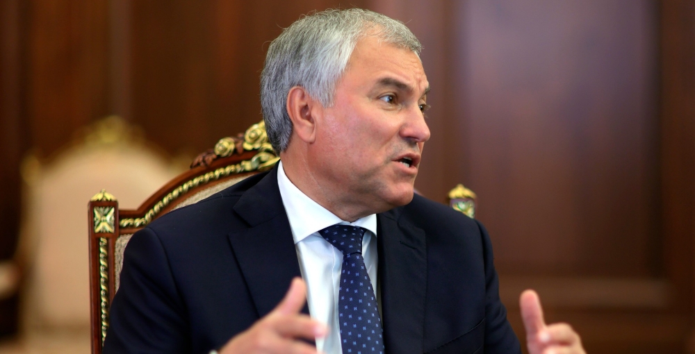 Володин ждет от Правительства предложений по защите людей от бродячих собак