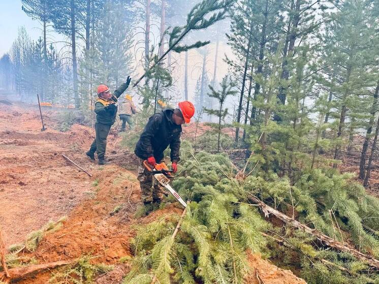 Горит ясно: в Забайкалье "дали жару"