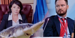 Приморские лендлорды от "Винни-Пуха" до Глеба Франка