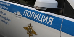 Петербуржец попытался похитить детей с игровой площадки