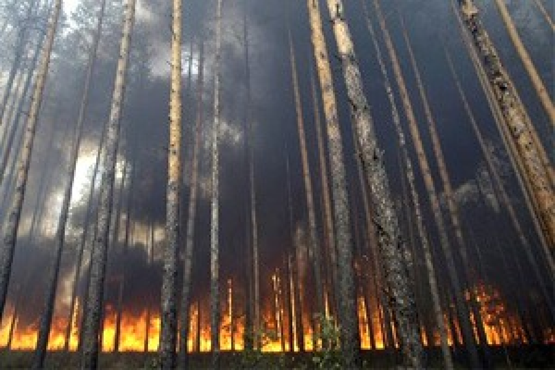 В Братске вспыхнул политический пожар