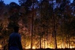 В Братске вспыхнул политический пожар